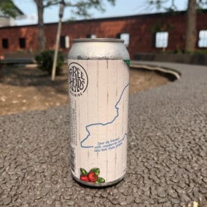 Three Head - cran grape sour